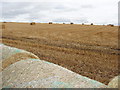 Harvest time on the Black Isle