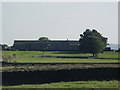 Plane Trees Farm