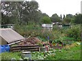 Allotments