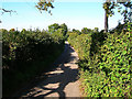 Lane leading to Oldlands Mill, near Keymer