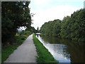 Leeds-Liverpool Canal, looking towards Riddlesden