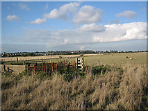 TQ9118 : Pasture near Rye by Dave Bushell