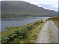 NH1421 : Track along South shore of Loch Affric by Roger McLachlan