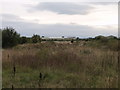 Derelict land on Wrecsam Industrial Estate