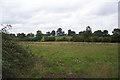 Fields at Wood Street Village