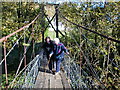 Old cable bridge crossing the Ettrick Water