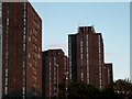 Wivenhoe Park (University of Essex Buildings)