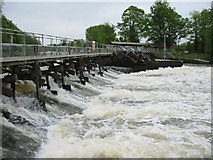 SU5097 : Weir by Abingdon lock by Alan Iwi