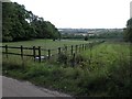 A field with some horses