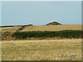 SC3499 : Burial Mound on Cronk ny Arree Lhaa, Jurby by David Radcliffe