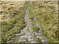 SD9616 : Blackstone Edge Roman Road by John Illingworth
