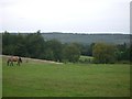 Fields east of Abinger Lane