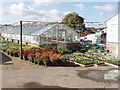 Plant nursery in Denham