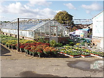 TQ0486 : Plant nursery in Denham by David Hawgood