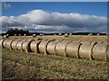 NO2208 : Straw Bales near Strathmiglo by Lis Burke