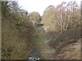 Mouldsworth old railway cutting