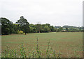 Fields near Mickleton