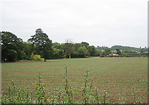 SP1542 : Fields near Mickleton by Dave Bushell