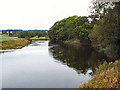 River Wharfe near Manor Park