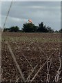 Wind sock at Abingdon airfield