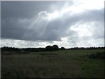 SU4699 : Fields near Cothill by Alan Iwi
