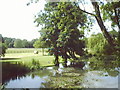 Up river from Maidenhead Bridge