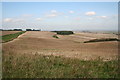 SU4184 : Field and gallops on Ridgeway by Tom Stringer
