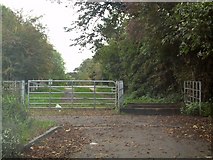 SJ7989 : Green Lane at Baguley by Roger May