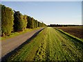 Lane to Westbourn Farm