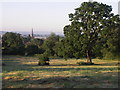 View over fields towards St Paul