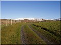 SN7666 : Frongoch farm track by Rudi Winter