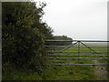 Footpath to Porth Widlin