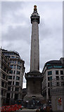 TQ3280 : The Monument to the Great Fire of London by Adam Quinan