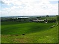 Eddisbury Hill Farm above Delamere