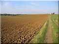 TL0736 : Farmland NW of Silsoe, Beds by Rodney Burton