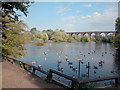 Reddish Vale Country Park