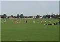 Park Football in Gunnersbury