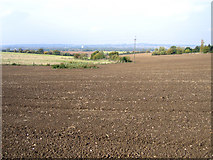 TL0533 : Farmland SW of Pulloxhill, Beds by Rodney Burton