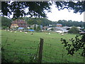 Meadow near Scott