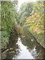 Silk Stream with reflected foliage, The Hyde