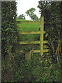 SK7426 : Stile on Brock Hill, Leicestershire by Kate Jewell