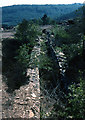 Disused arsenic flue, Blanchdown Wood, 1978