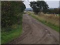 Farm track, Swanpool