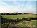 View northwest from Cambridge Rd, Fulbourn