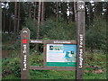 Laughton Forest Tuetoes Trail