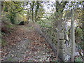 Bridleway at Wood End, Barkisland