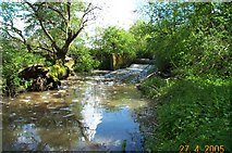 TL4102 : Weir on Cobbin's Brook by Nigel Cox