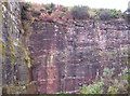 Middleton Quarry