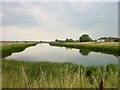 Queenborough Lines - looking west