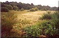 Old River Bed, Coton Hill, Shrewsbury